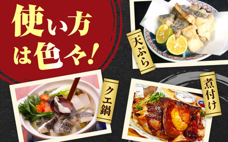 【全6回定期便】【 対馬産 】 天然 クエ 500g （切り身） 鍋 水炊き クエ 天然クエ [WAB019]
