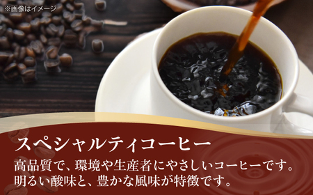 コーヒー豆 スペシャルティコーヒー おすすめ1種 250g 珈琲 コーヒー豆 コーヒー粉 コーヒー ドリップ ドリップ珈琲 飲料 愛媛県大洲市/株式会社日珈[AGCU025]