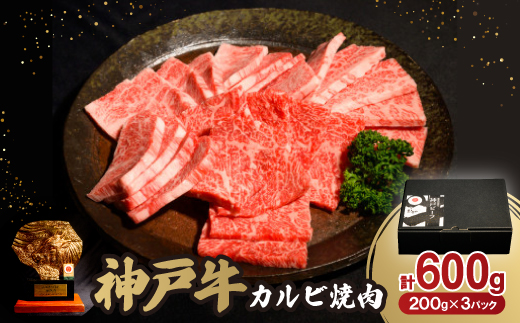 12/20入金分まで年内発送!神戸牛カルビ焼肉600g【配送不可地域：離島】