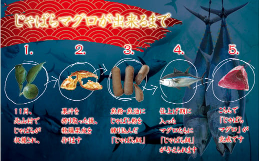 本マグロ（養殖） トロ＆赤身セット 3kg ☆北山村人気No1☆【通常発送】 | まぐろ マグロ 本マグロ 鮪 中トロ 赤身 柵 刺身 お刺身 人気 海鮮 海産物 鮮魚 魚 じゃばらまぐろ まぐろ丼【