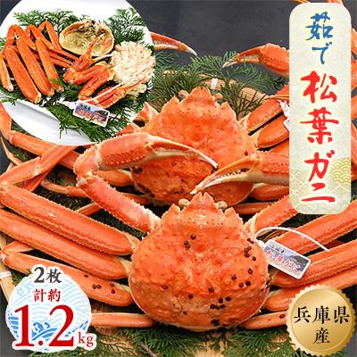 ふるさと納税 新温泉町 松葉ガニの本場より プロ茹で松葉ガニ(冷凍)　約600g×2枚