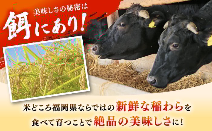 12回定期便 訳あり サーロインステーキ ＆ あまおう セット1.3kg