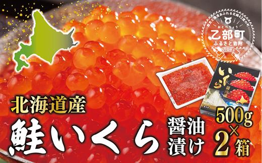 
                  前浜の鮭から丁寧にお届け 輝く 贅沢なひと粒【いくら醤油漬：2パック（500ｇ×2箱）】＜ 鮮度にこだわる「笹谷商店」の絶品の醤油タレ イクラ 鮭いくら 鮭イクラ 醤油いくら 醤油イクラ いくら醤油漬け イクラ醤油漬け 醤油漬 いくら丼 秋鮭 国産 北海道産 北海道乙部町 日本海 冷凍 人気 使い道 ふるさと納税 ＞
                