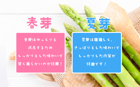 【先行予約】アスパラガス春芽　M~Lサイズ　1㎏（2025年3月下旬~5月下旬発送予定）