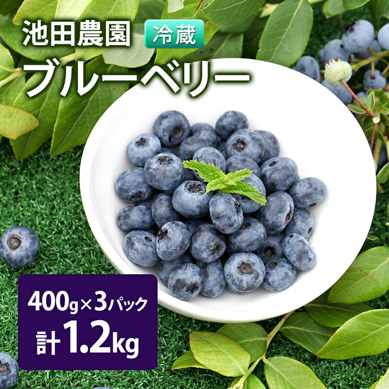 【ふるさと納税】【2027年夏配送】生 ブルーベリー 計1.2kg (400g×3パック) 池田農園 北海道 小分け 新鮮 フルーツ 果物 旬 旬のフルーツ 旬の果物 お取り寄せ 産地直送 朝ごはん デザート おやつ ヨーグルト 冷蔵 芦別市　お届け：2027年7月下旬～8月下旬
