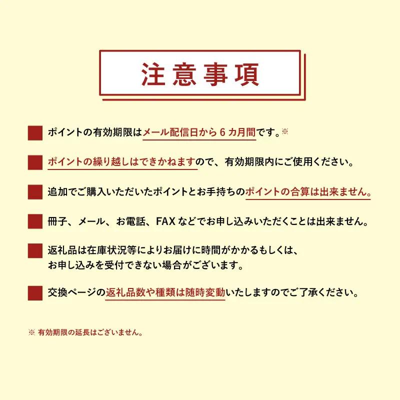 金沢市 あとから選べるWEBカタログギフト（寄附10万円コース）30000ポイント