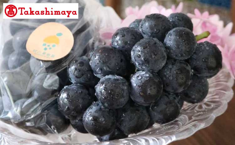 
            【高島屋選定品】松川果樹園 巨峰 2房（計800g）【2025年7月上旬～7月下旬発送予定】ぶどう ブドウ 葡萄
          