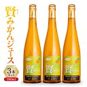 【ふるさと納税】賢みかんジュース500ml 3本セット ギフト | 飲料 ドリンク 食品 人気 おすすめ 送料無料