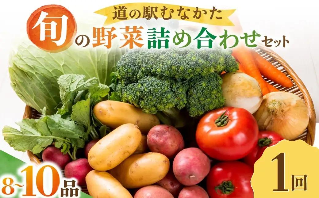 旬のお野菜詰合せセット【道の駅むなかた】_HA2050 野菜 新鮮 旬 サラダ 福岡県宗像市 宗像市 福岡 宗像