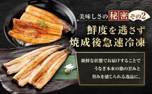 めぐみうなぎ 紅白 4尾 セット うなぎ 鰻 ウナギ 魚類 うな重 うな丼 晩ごはん 惣菜 おかず 贅沢 冷凍 国産 大阪府産 養殖 無投薬