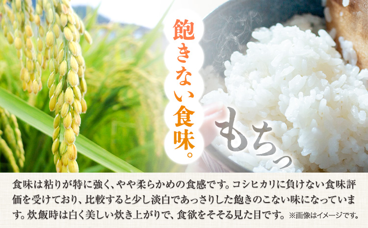【令和7年産】米 10kg  お米 10キロ 国産 岡山県産 きぬむすめ 10kg(5kg×2袋) 全農パールライス《90日以内に出荷予定(土日祝除く)》米 ---124_2246_11a11m_25