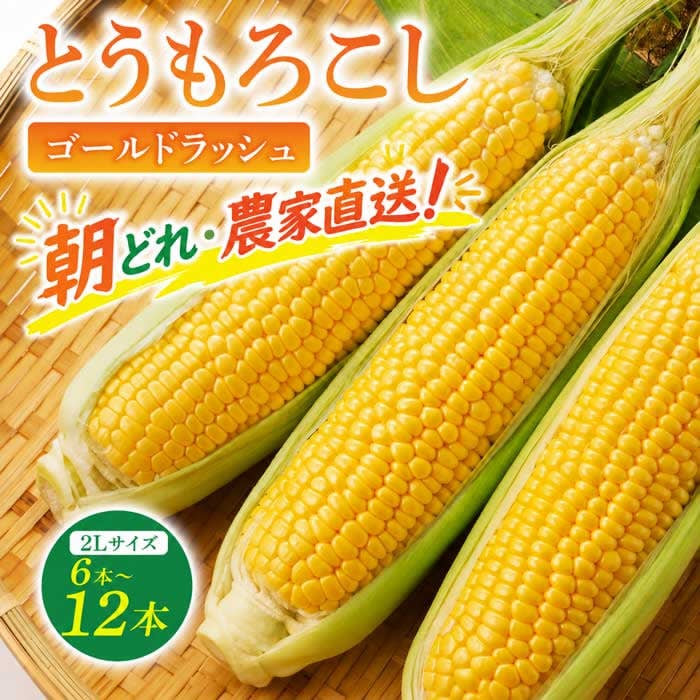 【ふるさと納税】【先行予約 2026年発送】農家直送！とうもろこし（ゴールドラッシュ）2L ＼選べる本数 6本(2.4kg)・12本(5kg)／★高評価｜小林菜園 ※2026年8月上旬以降発送 先行受付 甘い 人気 朝採り 産地直送 焼きとうもろこし コーンスープ BBQ 長野 信州