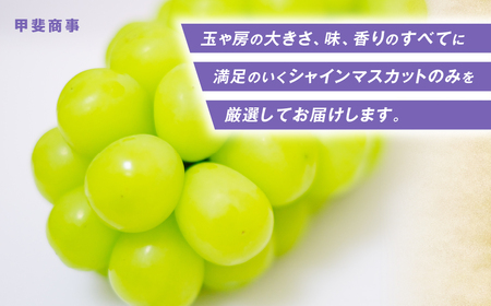 【✩先行予約✩2024年/令和6年発送分】最高級　大房　シャインマスカット1房(約700g）[山梨 シャインマスカット]　山梨県産　産地直送　フルーツ　果物　くだもの　ぶどう　ブドウ　葡萄　シャイン　