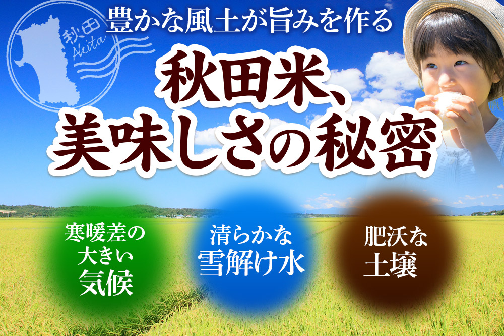 《令和7年産》《定期便4ヶ月》 米 あきたこまち 10kg（5kg×2袋） 【無洗米】 秋田県産