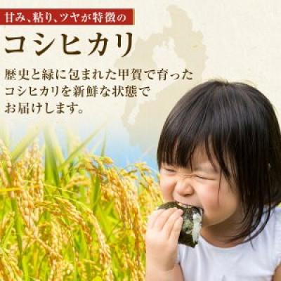 ふるさと納税 甲賀市 【令和7年産】近江米コシヒカリ白米5kg |  | 02