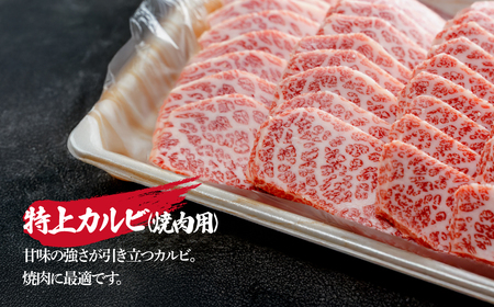 ＜定期便5回＞とちぎ和牛の特上カルビ 焼肉用 800g × 5回【栃木県共通返礼品】| 和牛 定期便 栃木県 茂木町