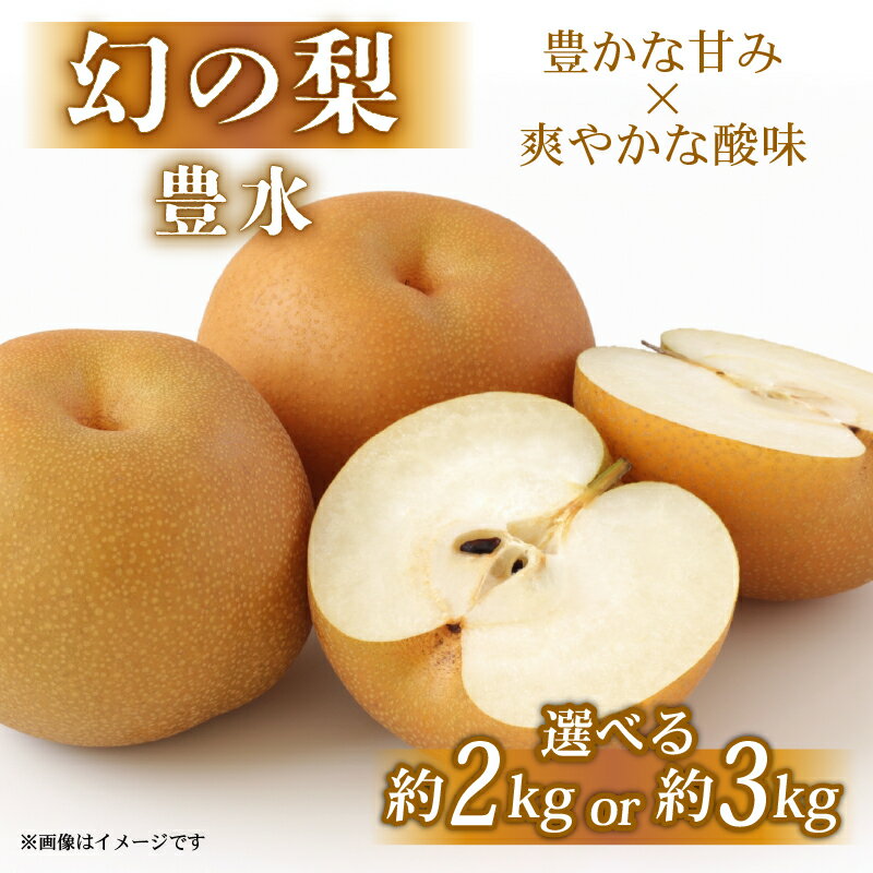【ふるさと納税】 期間限定 先行受付 数量限定 彦根梨 豊水 約 2kg / 3kg 梨 2025年9月発送予定 フルーツ 果物 和梨 なし ギフト プレゼント 贈り物 贈答品 お取り寄せ 限定品 滋賀 彦根