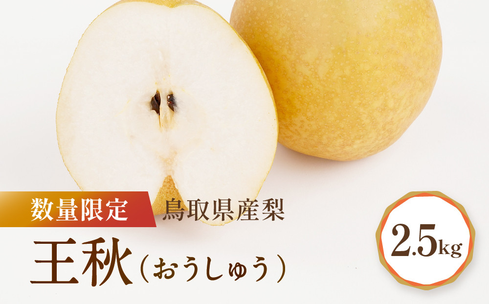 【先行予約】数量限定 鳥取県産梨 王秋 約2.5kg