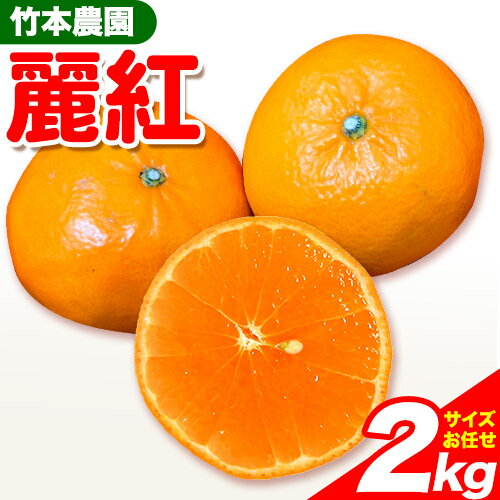 【ふるさと納税】麗紅 (れいこう) 2kg サイズ おまかせ《2026年2月中旬-4月下旬頃出荷》竹本農園 和歌山県 日高川町 旬 新鮮 果物 柑橘 フルーツ 国産 送料無料 お試し サイズ 2000g みかん