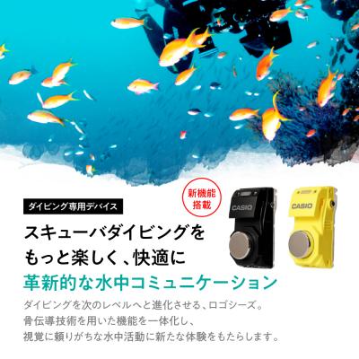 ふるさと納税 東根市 CASIO　ロゴシーズII LGS-RG007*2 (マットイエロー) LogoseaseII |  | 01