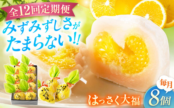 
            【全12回定期便】お菓子 はっさく大福8個入  お菓子 大福 八朔 柑橘 みかん オレンジ 餅 ギフト お取り寄せ スイーツ フルーツ大福 ご当地 菓子 おかし デザート 食品 人気 おすすめ 果汁 広島県産 特産品 産地直送 お取り寄せ 贈り物 ギフト 贈答品 絶品 和菓子 定期便 国産 白あん 個包装 逸品 定期便 福山スイーツ 広島県福山市/株式会社虎屋本舗[BADH024]
          