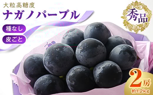 厳選! 濃厚 大房 ナガノパープル 秀品 2房 (約1.2kg)_ ぶどう ブドウ 葡萄 フルーツ 果物 くだもの ふるさと 人気 美味しい ギフト プレゼント 贈り物 長野県 中野市 【123491