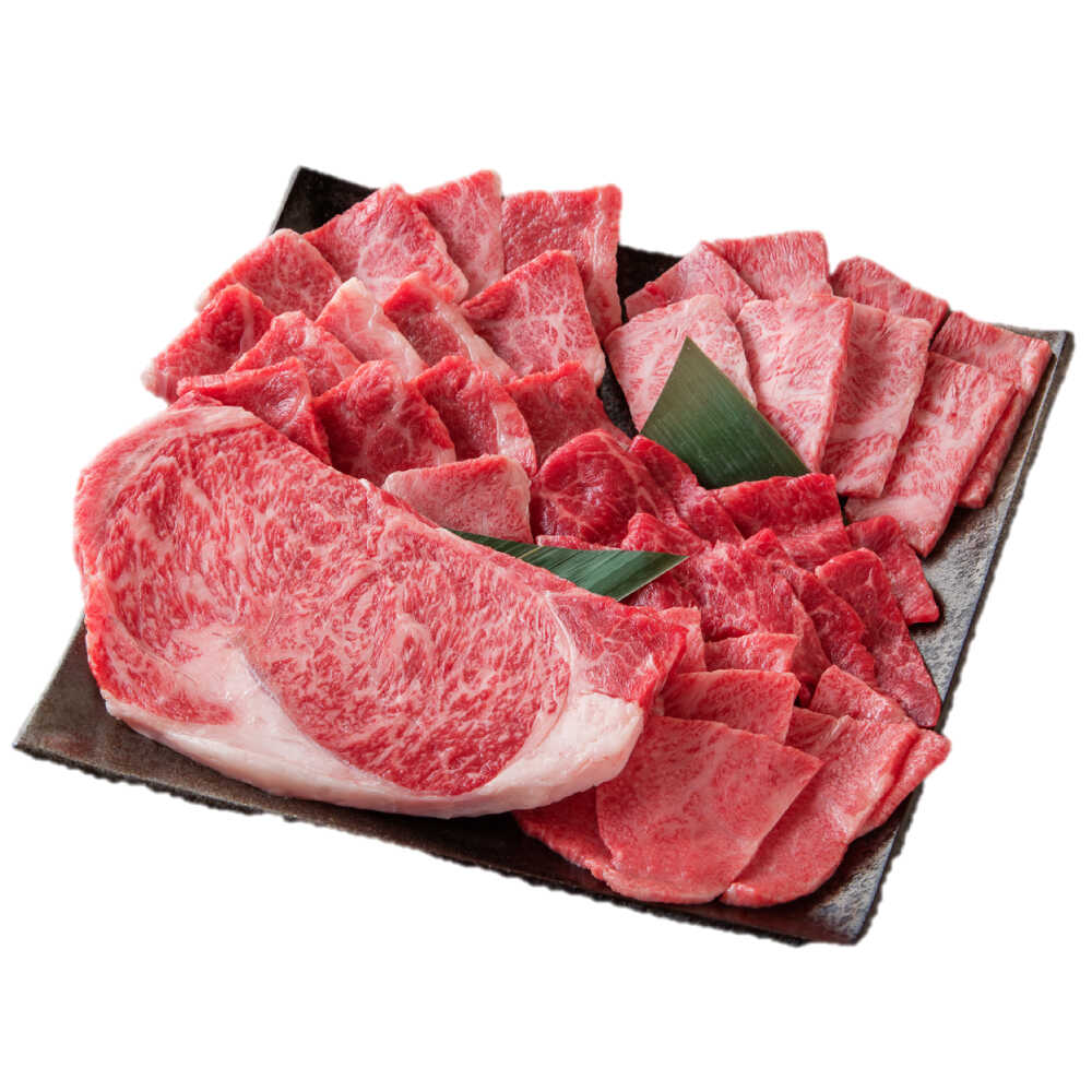 【ふるさと納税】佐賀県産牛 焼肉セット550g（5種） / 佐賀県 / 一般社団法人龍乃 [41ANAC091]