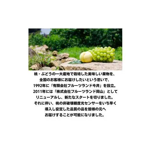 桃太郎ぶどう 1房 約500g 岡山県産 【先行予約 2026年8月下旬から順次発送】