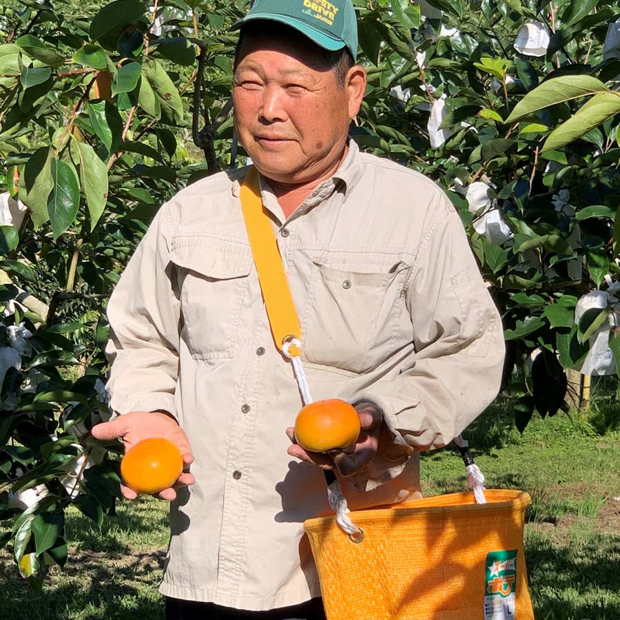 富有柿2L　15個入