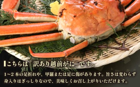 訳あり【11月発送】越前がに本場の越前町からお届け！浜茹で越前かに 小サイズ（生で400～600g） × 1杯  [e43-x001_11] カニ かに 越前がに 越前ズワイガニ 越前かに 越前カニ 