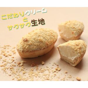 蝶谷の 生パイ 10個 菓子 焼菓子 焼き菓子 洋菓子 デザート スイーツ おやつ 山形　008-G-CY001