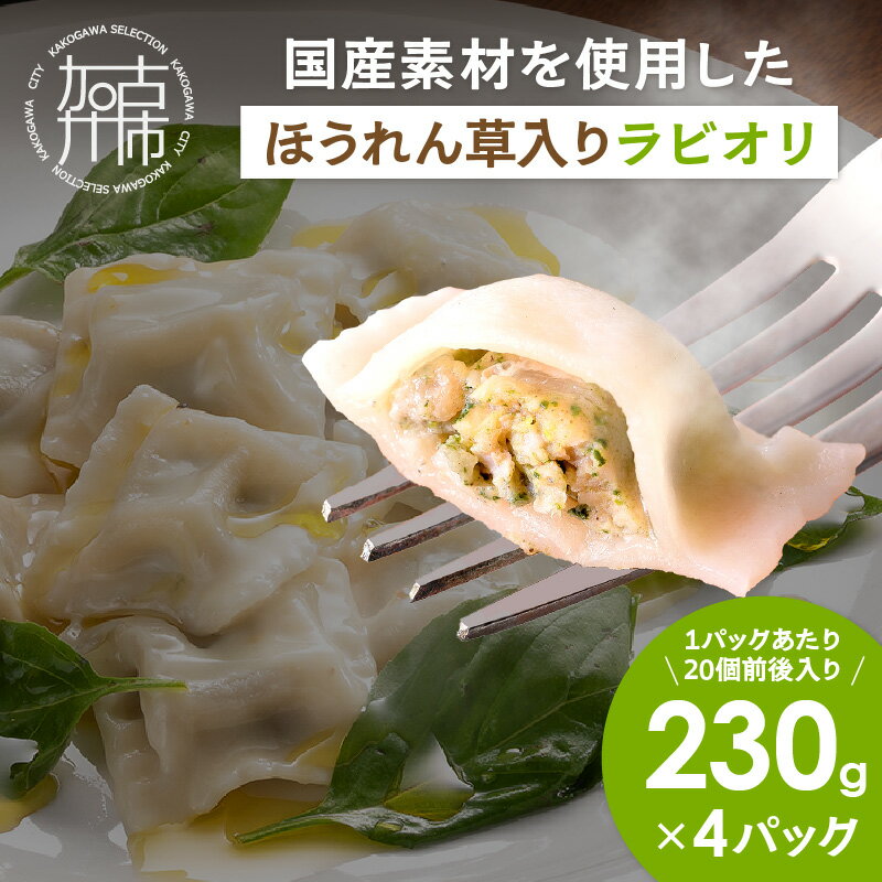【ふるさと納税】国産素材のほうれん草入りラビオリ(230g×4)《 ふるさと納税 パスタ ラビオリ ほうれん草 生パスタ おかず 副菜 もちもち 一口サイズ 》