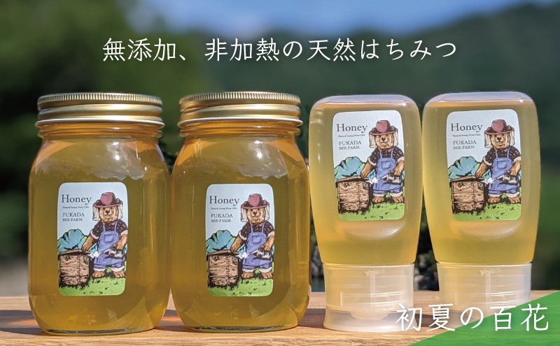 【先行予約 2025年6月30日より発送】合計1800g 天然蜂蜜 国産蜂蜜 非加熱 生はちみつ 岐阜県 美濃市産 初夏 (蜂蜜600g入りガラス瓶2本、蜂蜜300g入りピタッとボトル2本のセット)B16 深田養蜂のハチミツ