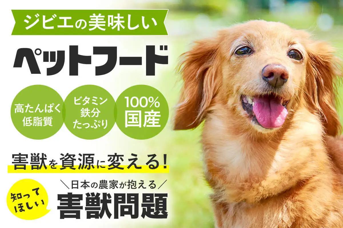 ハンタージビエ・ワンモ お試し3包×3セット HNNT001