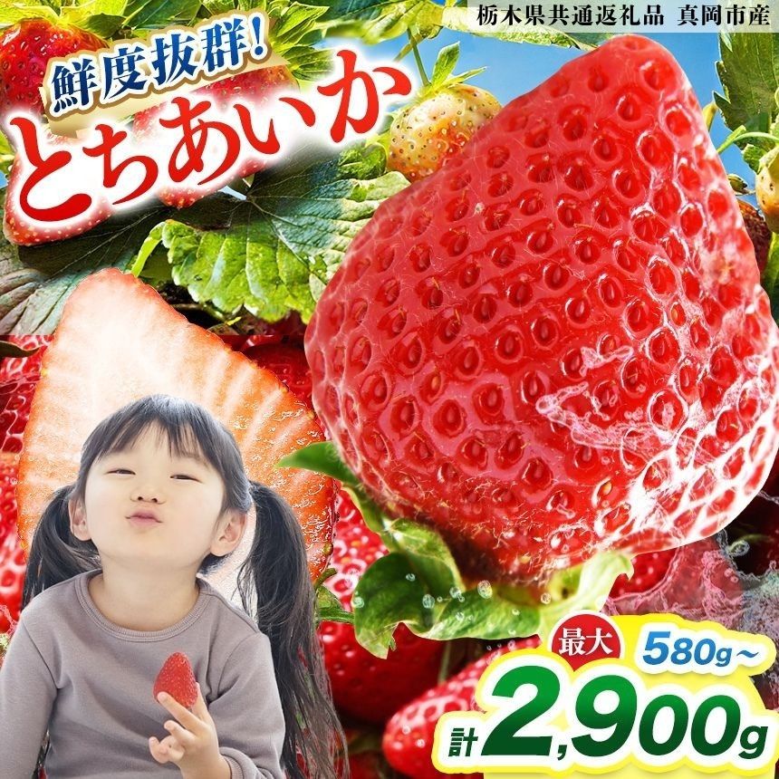 【ふるさと納税】 いちご 苺 とちあいか 580g ～ 2900g 選べる 定期便【2027年 先行予約】 | 新鮮 フルーツ 数量 限定 先行予約 産地直送 | 290g 2P 4P 6P 8P 10P 栃木県産 フルーツ 果物 果実 栃木県 矢板市 栃木県共通返礼品 真岡市産