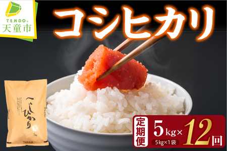 コシヒカリ 定期便 ( 5kg × 1袋 ) 12回 お届け 米 精米 山形 08-30-048