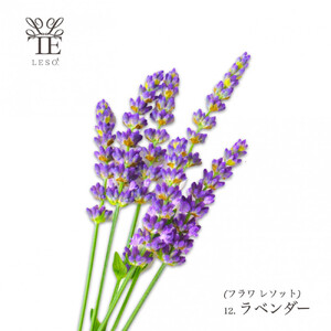 本物の花の香り リード・ディフューザー【ラベンダー】
