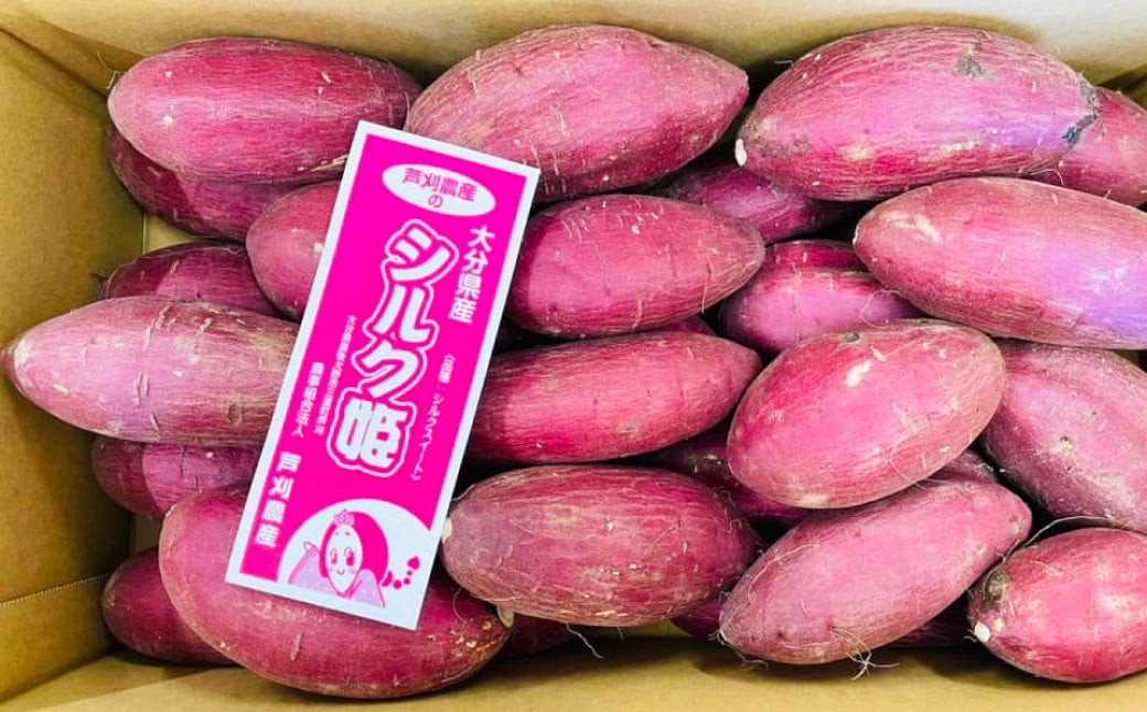 
            シルク姫 約5kg（A品） さつまいも いも イモ 芋 シルクスイート 国産 常温 大分県 豊後大野市 【2025年9月上旬～2026年5月下旬発送予定】
          