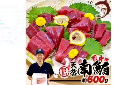 【2025年4月発送】 訳あり 天然 南マグロ 赤身 約600g 不定型柵 まぐろ 解凍 鮪 漬け マグロ ユッケ マグロ 海鮮 ミナミ マグロ ふるさと人気