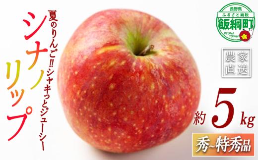 りんご シナノリップ 秀 ～ 特秀 5kg （ 12 ～ 16玉 ） サイズおまかせ 関果樹園もりんご 沖縄県への配送不可 2026年8月中旬頃から2026年8月下旬頃まで順次発送予定 令和8年度収穫分 減農薬栽培 ネオニコチノイド系農薬不使用 信州 果物 フルーツ リンゴ 林檎 長野 予約 農家直送 長野県 飯綱町 [2080]