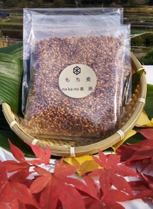 山々と源流の山国町「nakano麦園」の希少な『紫もち麦』ダイシモチ300g×5袋 |  紫もち麦 もち麦 麦 ダイシモチ 紫麦 雑穀 穀物 希少 国産 麦ご飯 1500g 1500グラム 1.5kg
