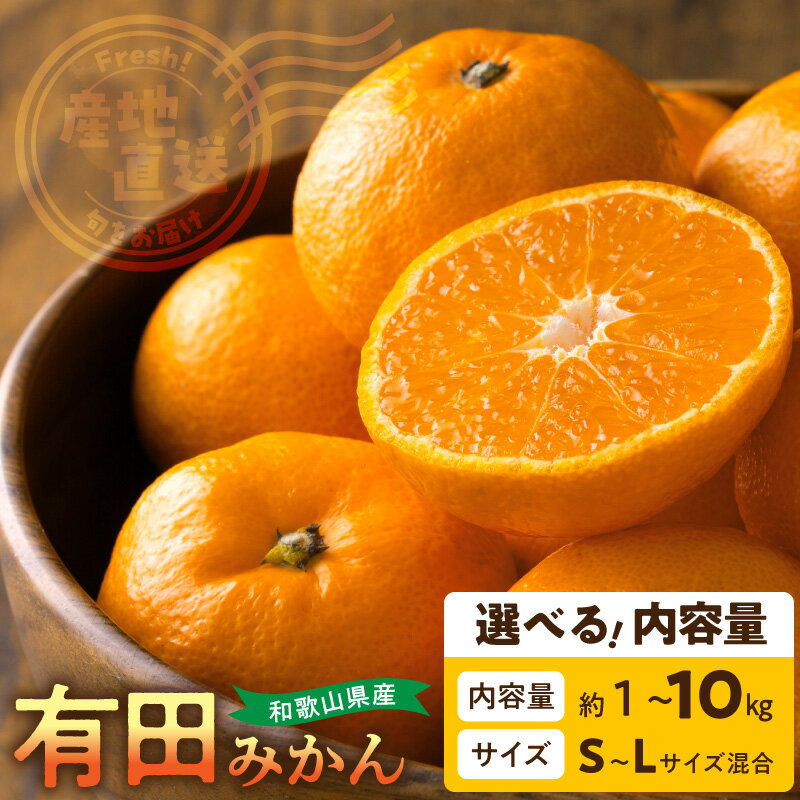 【ふるさと納税】【限定】 和歌山県産 有田みかん S M L サイズ混合 選べる 内容量 約 1kg 2kg 3kg 3.5kg 5kg 10kg 産地直送 濃厚 甘い 酸味 手選別 みかん フルーツ 果物 柑橘 お取り寄せ 和歌山県 湯浅町 送料無料