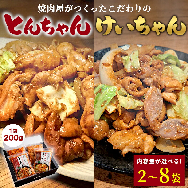 【ふるさと納税】＼選べる内容量／ 焼肉屋がつくったこだわりの けいちゃん＆とんちゃんセット 200g 約2人前 2袋 4袋 6袋 8袋 小分け 焼肉 けいちゃん 鶏 鶏肉 若鶏 鶏皮 砂肝 とんちゃん 豚 豚肉 豚内蔵 ホルモン 豚ホルモン 味噌だれ 味噌 みそ おかず お土産 お取り寄せ