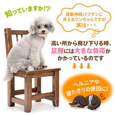 ふるさと納税 太田市 PetStyle ドッグステップ 幅広 55cm メッシュ生地 ソフトタイプ (ベージュ) |  | 01