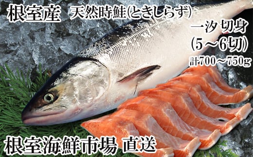 A-14271 【北海道根室産】無添加天然時鮭(トキシラズ)半身分切身(5～6切)