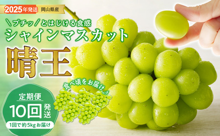 【2025年発送分】岡山県産シャインマスカット「晴王」定期便　秀品　大房（約5kg・5～9房目安）×10回発送（令和７年7月以降発送）