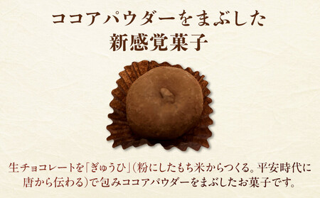 生ちょこ大福 12個入×2箱【ささもり 菓子 おかし 食品  贈り物 宮城県 人気 おすすめ 送料無料】