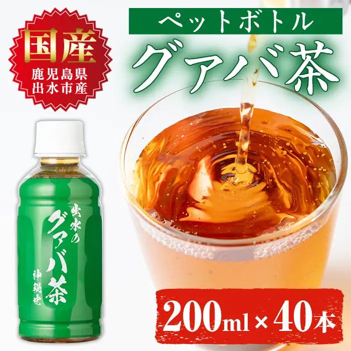 i1137-A グァバ茶PET(神秘也)200ml×40本 お茶 茶 国産 グァバ葉 ノンカフェイン ポリフェノール 血糖値 コレステロール ペットボトル 【出水酒造 izumi-syuzou】