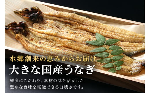 増田川魚店のうなぎ白焼＜大3本＞ うなぎ 白焼き 愛知県三河産 国産 ウナギ 鰻 炭火焼き しらやき ふっくら仕上げ 新鮮 活き締め 贈答用 ギフト 冷蔵配送 茨城県 潮来市 (A07-005)