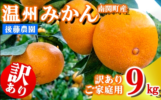ご家庭用 後藤農園 温州みかん 9kg 訳あり 熊本県 南関町 フルーツ 果物 くだもの 柑橘